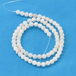 Natural Shell Beads Strands&nbsp;X-PRS001Y