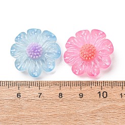 Transparent Resin & Glitter Powder Cabochons&nbsp;RE-CBA0EC6-12