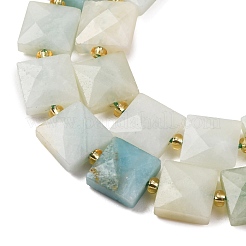 Natural Flower Amazonite Beads Strands&nbsp;G-F839-A21-01