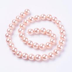 Shell Pearl Beads Strands&nbsp;BSHE-L035-8mm-I