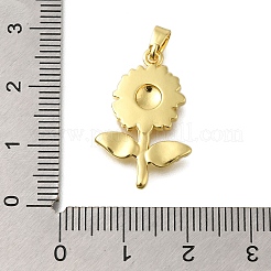 Rack Plating Brass Pendants&nbsp;KK-M079-18A-G