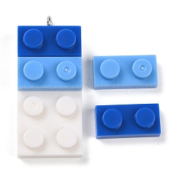 Resin Pendants&nbsp;RESI-E017-C02