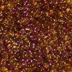 Spray Painted Glass Seed Beads&nbsp;SEED-F005-04A-02
