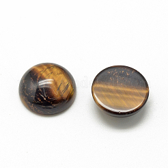 Natural Tiger Eye Cabochons&nbsp;X-G-R416-10mm-35