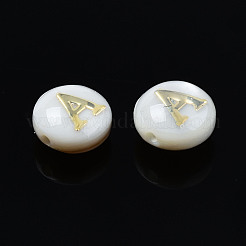 Natural Freshwater Shell Beads&nbsp;SHEL-S278-036