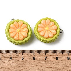 Fruit Opaque Resin Pendants&nbsp;RESI-C079-03E