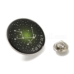 Twelve Constellation Creative Alloy Badges Constellation Brooches&nbsp;LS-JEWB-S033-01P-B