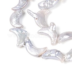Natural Baroque Keshi Pearl Beads Strands&nbsp;PEAR-N020-P06-01A