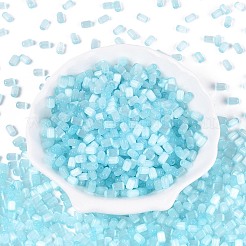 Drawbench Style Glass Seed Beads&nbsp;SEED-N008-10F