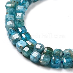 Natural Apatite Beads Strands&nbsp;G-P457-B01-14