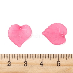 Transparent Acrylic Pendants&nbsp;PL591-3