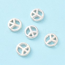 925 Sterling Silver Beads&nbsp;STER-A010-165