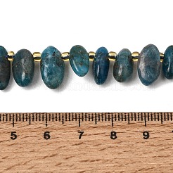 Natural Apatite Beads Strands&nbsp;GG-CBADF20-A08