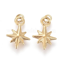 Ion Plating(IP) 304 Stainless Steel Charms&nbsp;STAS-I164-020A