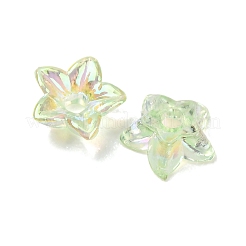 Transparent Acrylic Bead Caps&nbsp;AC-CBA1E6C-06C