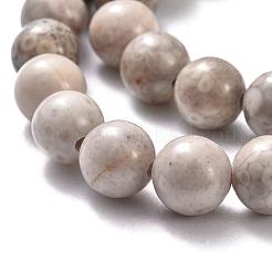 Natural Maifanite/Maifan Stone Beads Strands&nbsp;X-G-I187-8mm-01