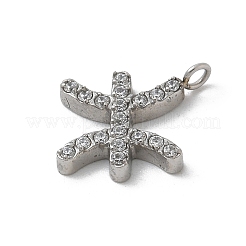 304 Stainless Steel Micro Pave Cubic Zirconia Charms&nbsp;STAS-Z107-09P-05