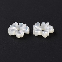 Natural White Shell Beads&nbsp;SHEL-F002-04