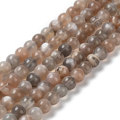 Natural Grey Moonstone Beads Strands&nbsp;G-F632-24-02-01