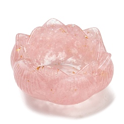 Resin Incense Burners&nbsp;DJEW-H012-01A