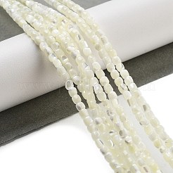 Natural Trochid Shell/Trochus Shell Beads Strands&nbsp;BSHE-G038-01