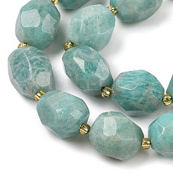 Natural Amazonite Beads Strands&nbsp;G-P541-A01-11