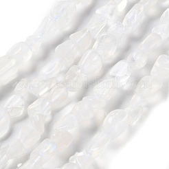 Natural Rainbow Moonstone Beads Strands&nbsp;G-P497-01C-62