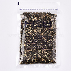 FGB 2-Hole Glass Seed Beads&nbsp;SEED-S031-M-SH601