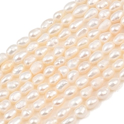Natural Cultured Freshwater Pearl Beads Strands&nbsp;PEAR-F020-18