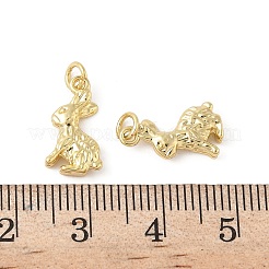 Brass Pendants&nbsp;KK-L245-03G-01