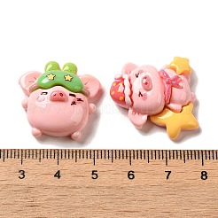 Pig Theme Opaque Resin Decoden Cabochons&nbsp;RESI-E053-04