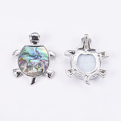 Abalone Shell/Paua Shell Pendants&nbsp;SSHEL-L008-14A