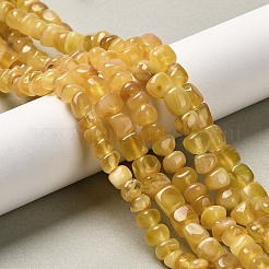 Natural Amber Beads Strands&nbsp;G-L095-J01-02