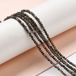 Natural Silver Sheen Obsidian Beads Strands&nbsp;LS-G-E608-A02-A