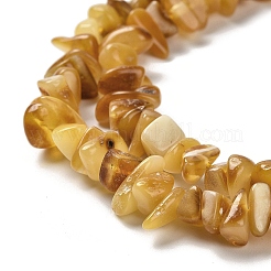Natural Amber Beads Strands&nbsp;G-L095-N01-01