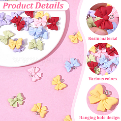36Pcs 6 Colors Opaque Resin Pendants&nbsp;RESI-SC0006-68