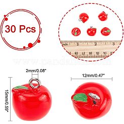 30Pcs Opaque Resin Charms&nbsp;RESI-CA0001-32A