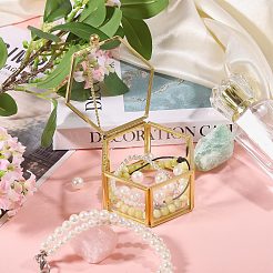 Glass Jewelry Presentation Boxes with Golden Tone Metal Frame&nbsp;CON-WH0133-014