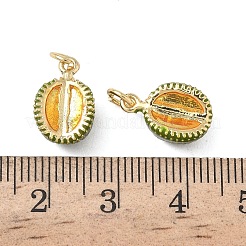 Brass Enamel Pendants&nbsp;KK-L256-44G-04