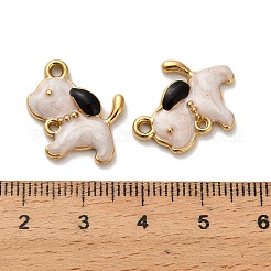 304 Stainless Steel Pendants&nbsp;STAS-C152-13G