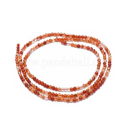 Natural Carnelian Beads Strands&nbsp;X-G-A177-04-19