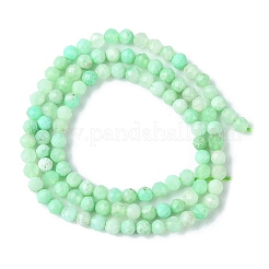 Natural Chrysoprase Beads Strands&nbsp;G-F748-X01-03A