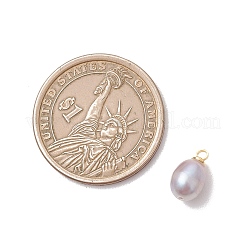 Natural Cultured Freshwater Pearl Rice Charms&nbsp;PALLOY-JF05078-01