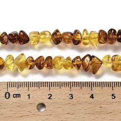 Natural Amber Beads Strands&nbsp;G-L095-L01-04