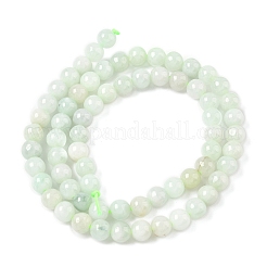 Natural Myanmar Jadeite Beads Strands&nbsp;G-M454-A01-6mm