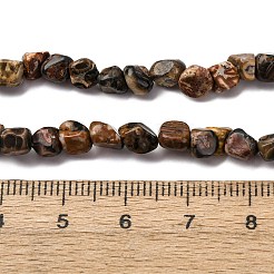 Natural Leopard Skin Jasper Beads Strands&nbsp;G-I389-A09