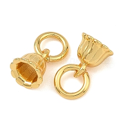 Brass Charms&nbsp;KK-F941-15G
