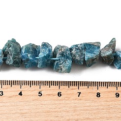 Natural Apatite Beads Strands&nbsp;G-I283-F23