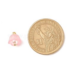 Transparent Acrylic Charms&nbsp;PALLOY-JF01603-01