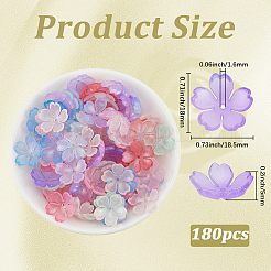 180Pcs Transparent Imitation Jelly Acrylic Bead Caps&nbsp;JACR-PA0001-01